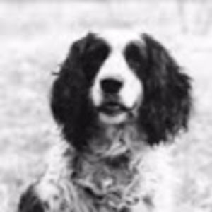 Meet your Posher, J. alan